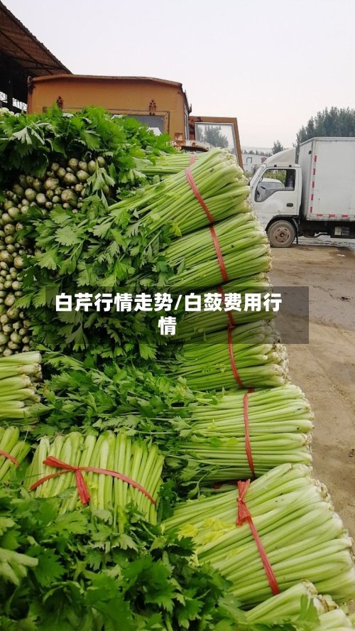 白芹行情走势/白蔹费用行情