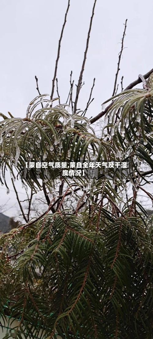 【蒙自空气质量,蒙自全年天气及干湿度情况】