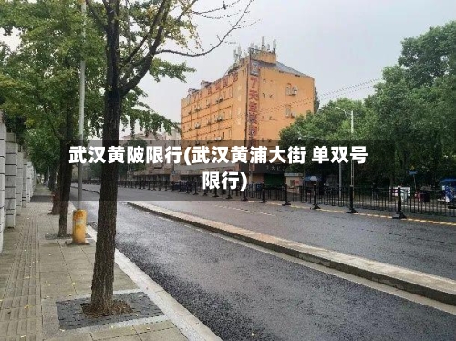 武汉黄陂限行(武汉黄浦大街 单双号限行)