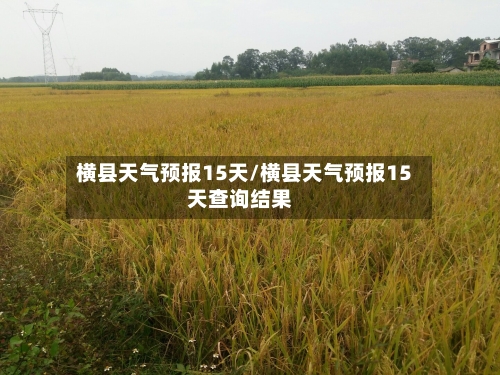 横县天气预报15天/横县天气预报15天查询结果
