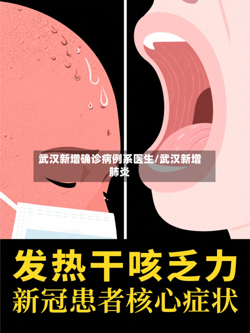 武汉新增确诊病例系医生/武汉新增肺炎