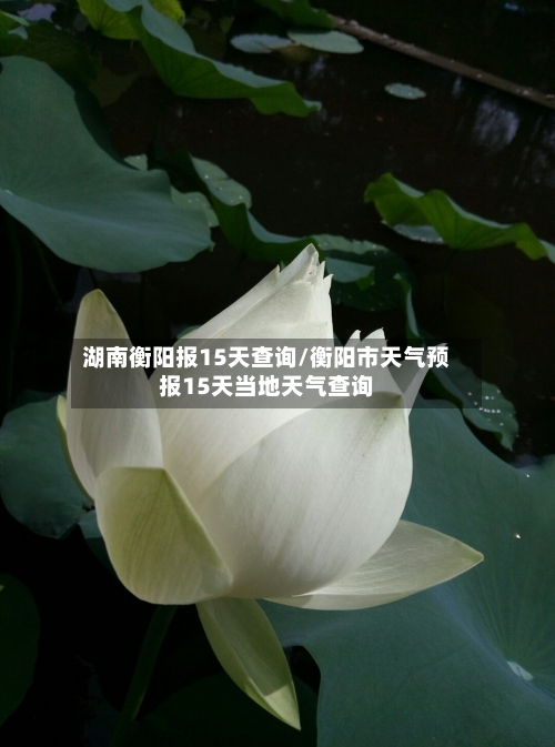 湖南衡阳报15天查询/衡阳市天气预报15天当地天气查询