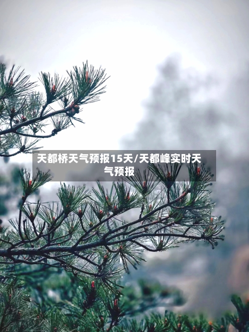 天都桥天气预报15天/天都峰实时天气预报