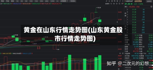 黄金在山东行情走势图(山东黄金股市行情走势图)