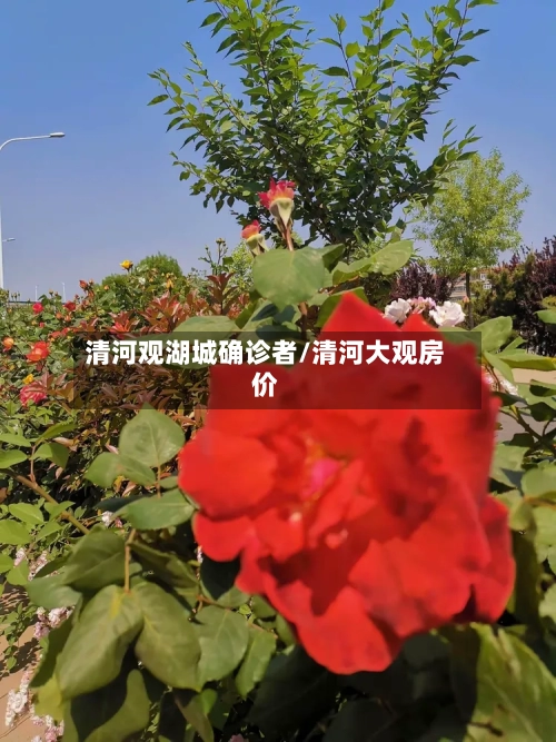 清河观湖城确诊者/清河大观房价