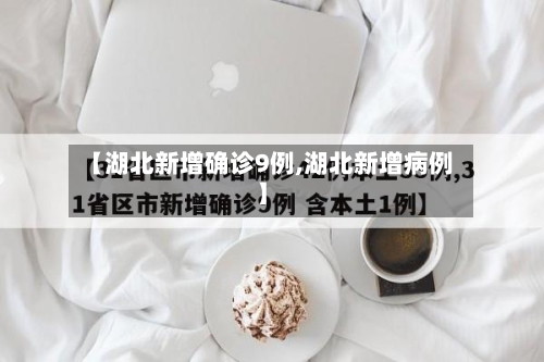 【湖北新增确诊9例,湖北新增病例】
