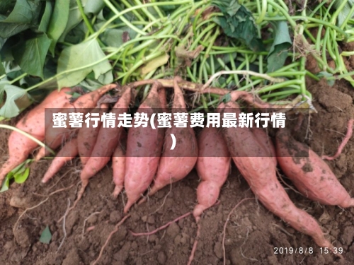 蜜薯行情走势(蜜薯费用最新行情)