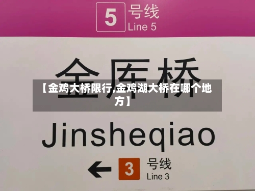 【金鸡大桥限行,金鸡湖大桥在哪个地方】