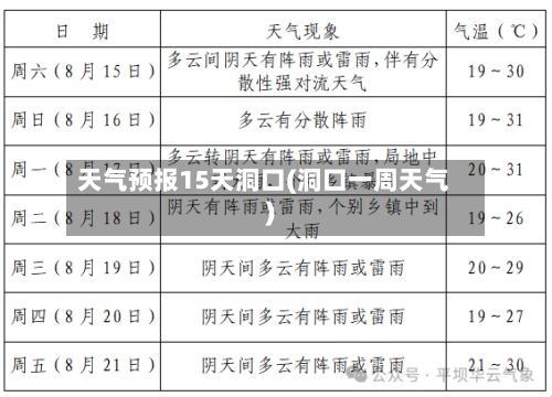 天气预报15天洞口(洞口一周天气)