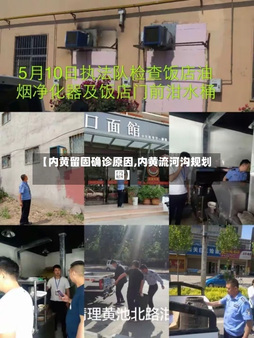 【内黄留固确诊原因,内黄流河沟规划图】