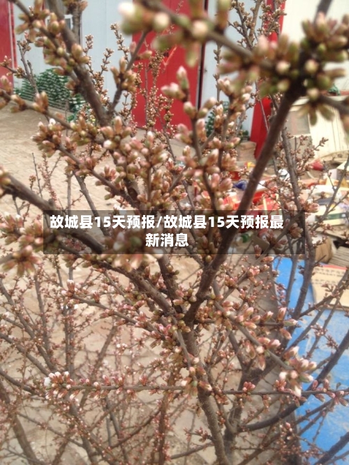 故城县15天预报/故城县15天预报最新消息