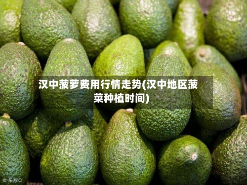 汉中菠萝费用行情走势(汉中地区菠菜种植时间)