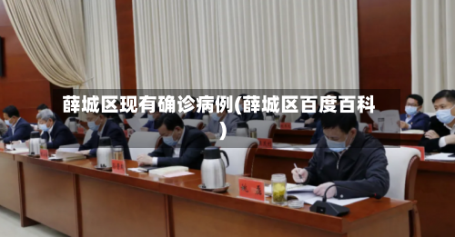 薛城区现有确诊病例(薛城区百度百科)