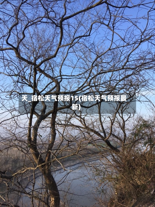 天_宿松天气预报15(宿松天气预报最新)