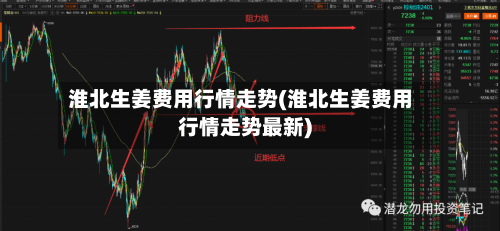 淮北生姜费用行情走势(淮北生姜费用行情走势最新)