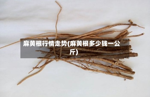 麻黄根行情走势(麻黄根多少钱一公斤)