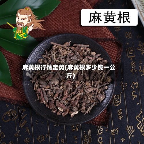 麻黄根行情走势(麻黄根多少钱一公斤)