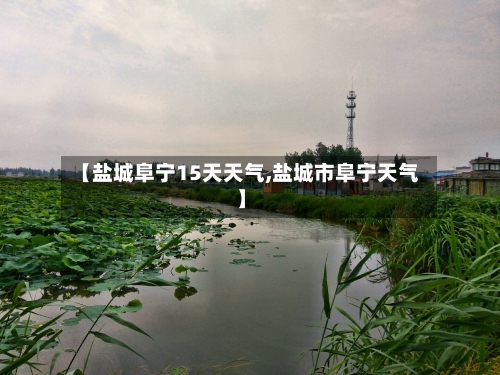 【盐城阜宁15天天气,盐城市阜宁天气】