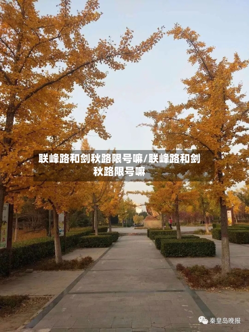 联峰路和剑秋路限号嘛/联峰路和剑秋路限号嘛