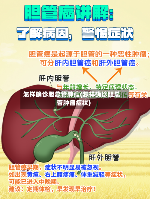 怎样确诊胆总管肿瘤(怎样确诊胆总管肿瘤症状)