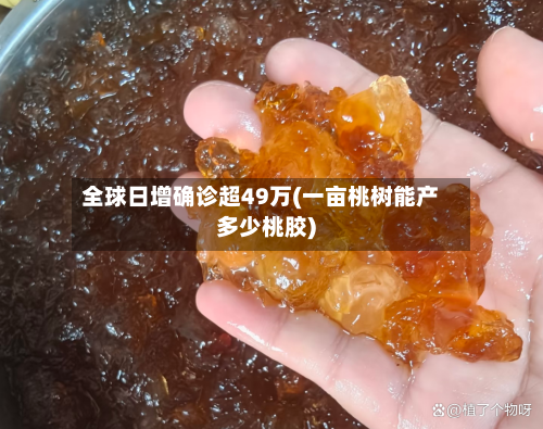 全球日增确诊超49万(一亩桃树能产多少桃胶)