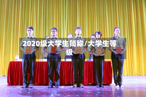 2020级大学生简称/大学生等级