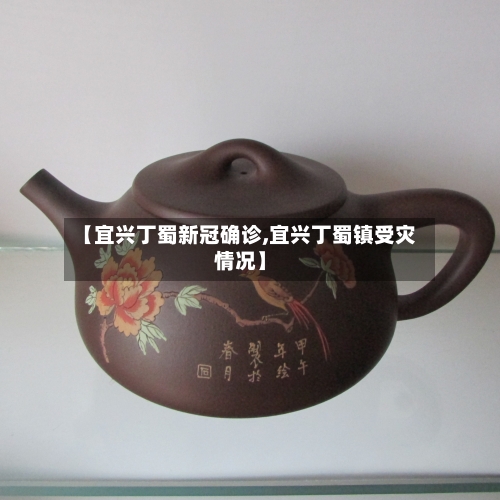 【宜兴丁蜀新冠确诊,宜兴丁蜀镇受灾情况】