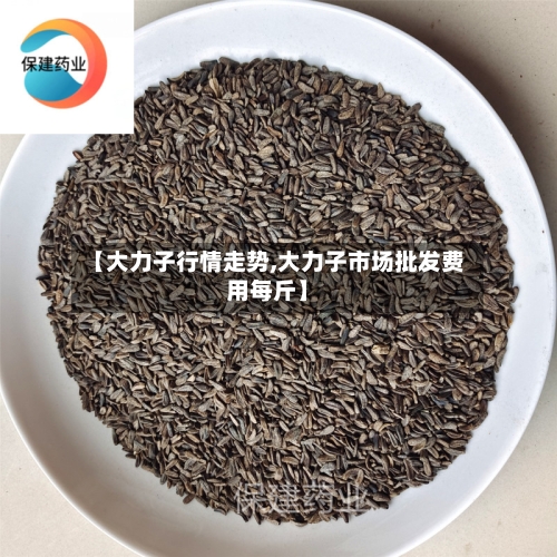 【大力子行情走势,大力子市场批发费用每斤】
