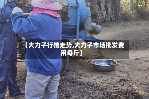 【大力子行情走势,大力子市场批发费用每斤】