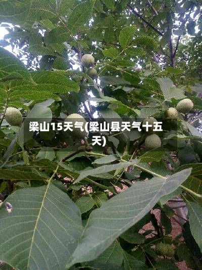梁山15天气(梁山县天气十五天)