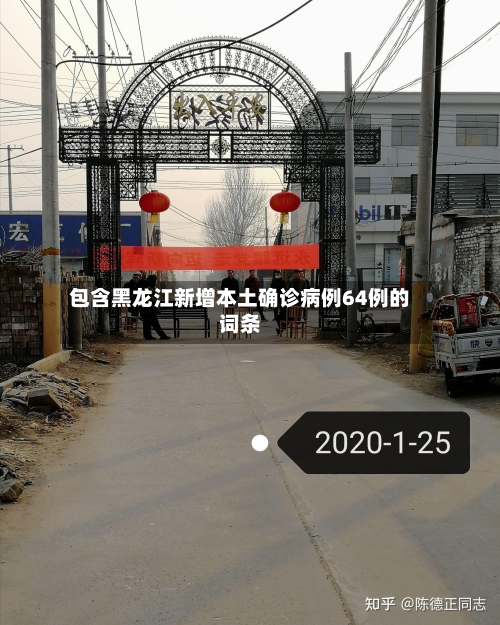 包含黑龙江新增本土确诊病例64例的词条