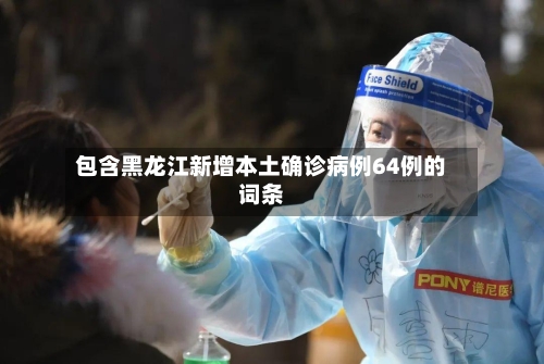 包含黑龙江新增本土确诊病例64例的词条