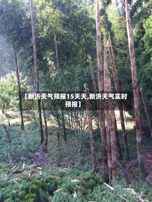 【新沂天气预报15天天,新沂天气实时预报】