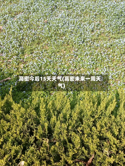 高密今后15天天气(高密未来一周天气)