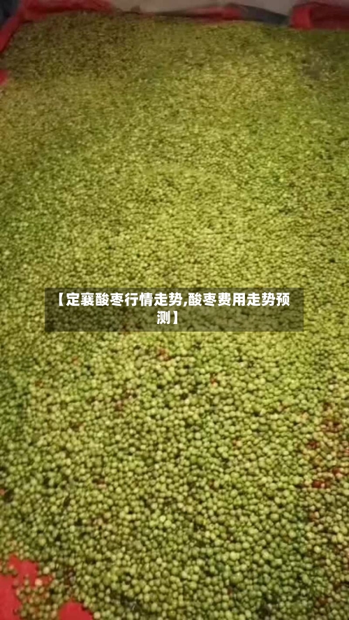 【定襄酸枣行情走势,酸枣费用走势预测】