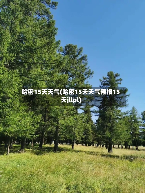 哈密15天天气(哈密15天天气预报15天jllpl)