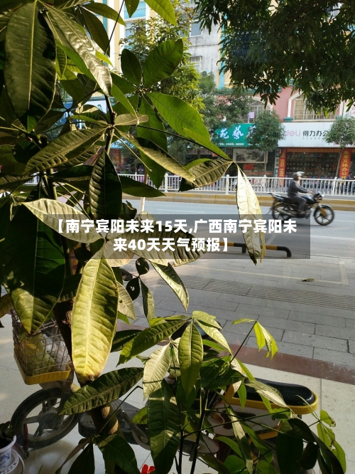 【南宁宾阳未来15天,广西南宁宾阳未来40天天气预报】