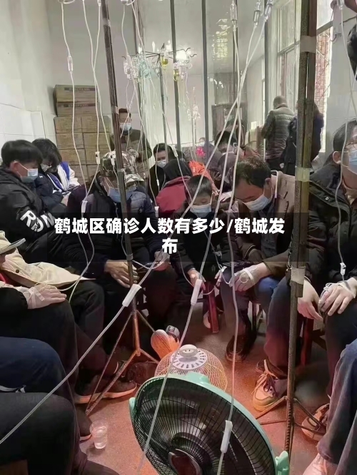 鹤城区确诊人数有多少/鹤城发布