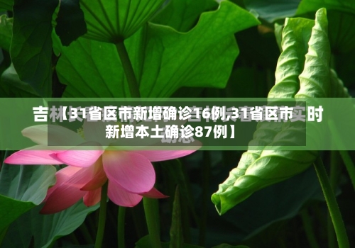 【31省区市新增确诊16例,31省区市新增本土确诊87例】