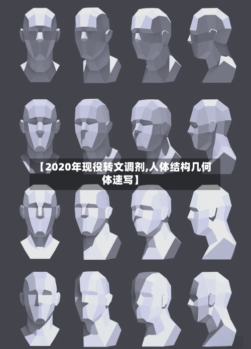 【2020年现役转文调剂,人体结构几何体速写】