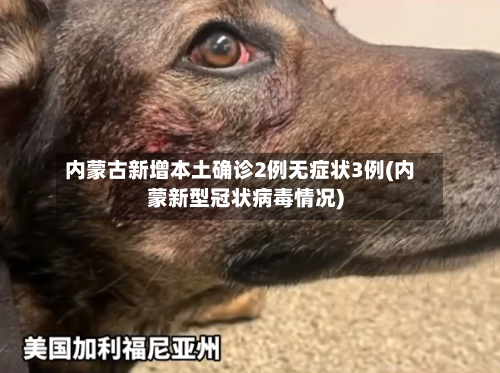 内蒙古新增本土确诊2例无症状3例(内蒙新型冠状病毒情况)