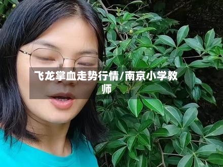 飞龙掌血走势行情/南京小学教师