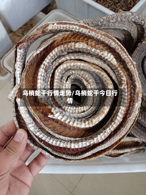 乌梢蛇干行情走势/乌梢蛇干今日行情
