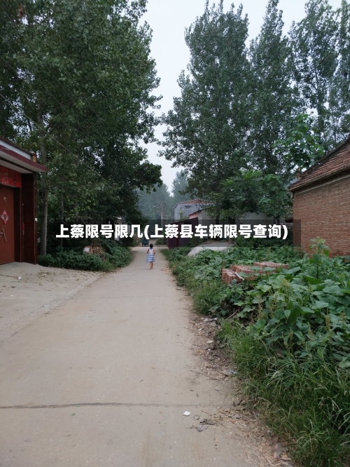 上蔡限号限几(上蔡县车辆限号查询)