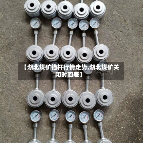 【湖北煤矿锚杆行情走势,湖北煤矿关闭时间表】