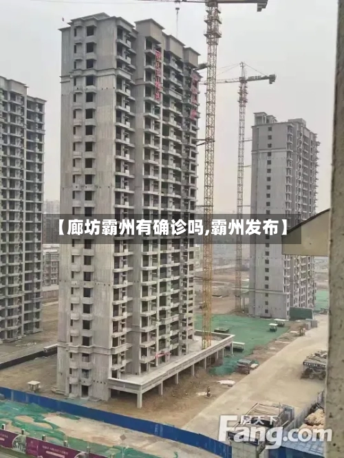 【廊坊霸州有确诊吗,霸州发布】