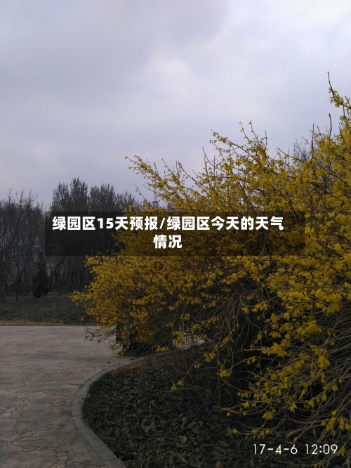 绿园区15天预报/绿园区今天的天气情况