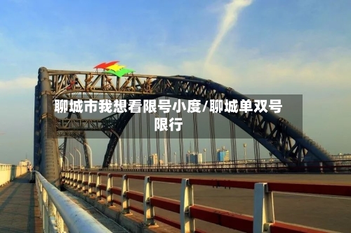 聊城市我想看限号小度/聊城单双号限行