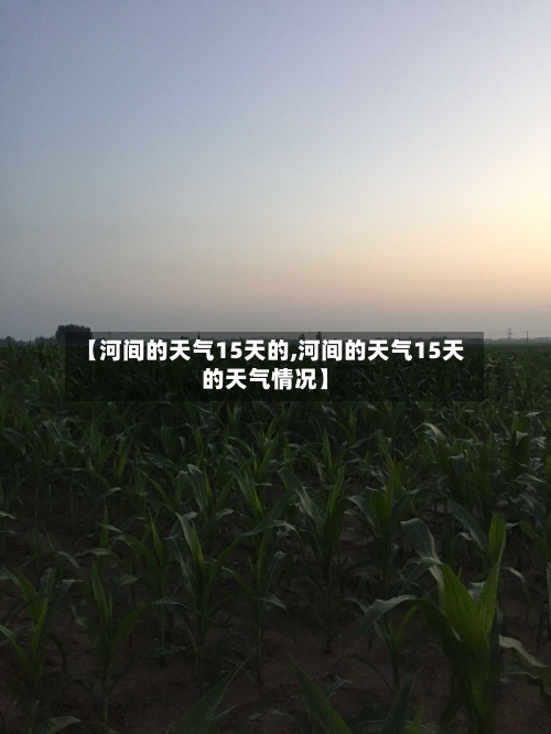 【河间的天气15天的,河间的天气15天的天气情况】