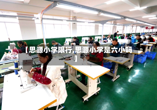 【思源小学限行,思源小学是六小吗】